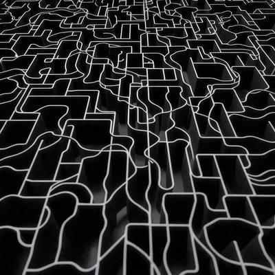 The primary subject of the image is a black and white pattern, which appears to be a maze or a complex network of lines. The setting is a black background, which contrasts with the pattern, making it stand out. The visual style is a combination of a photo and a digital art or illustration, as the pattern is intricate and detailed. The colors and mood of the image are predominantly black and white, giving it a classic and timeless feel.